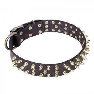 Черный ошейник для собак «Spiked Holiday Collar» с латунными шипами